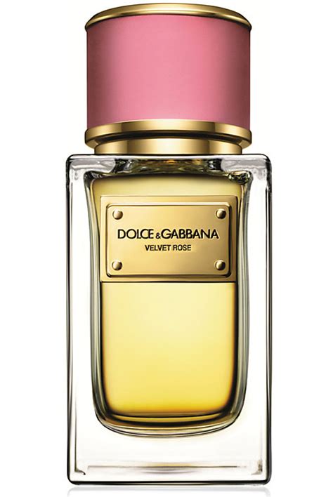 best dolce gabbana perfume.